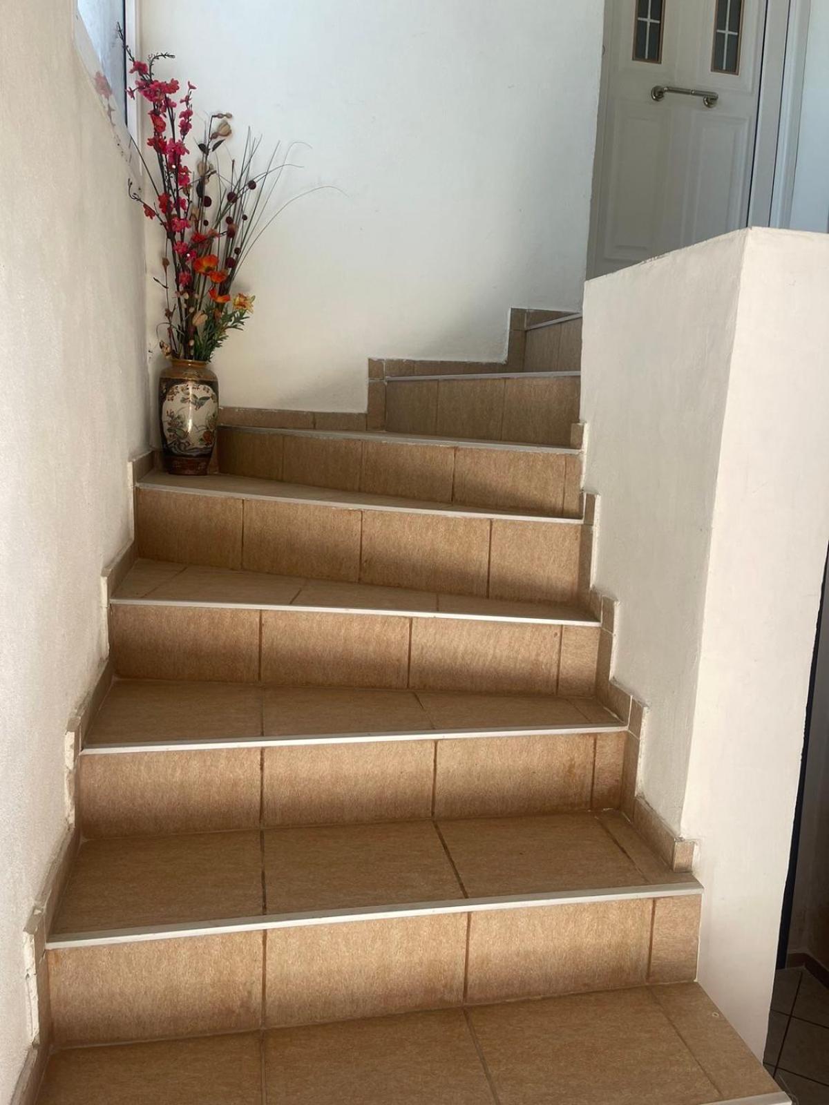 טריקלה Bright Apartment, Spacious Near The Center מראה חיצוני תמונה